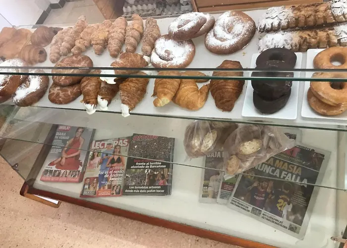 D'aro Parque de Campismo