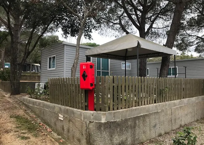 Parque de Campismo D'aro