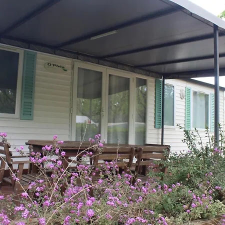 D'aro Camping Platja d'Aro