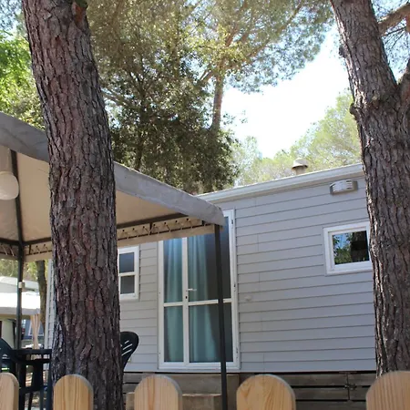 Camping D'aro Castell-Platja d'Aro
