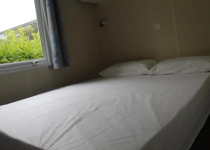 D'aro Campingplads 2*