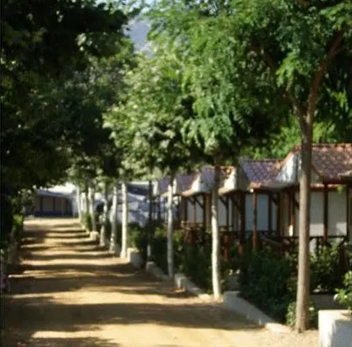 D'aro Kamp alanı Platja d'Aro