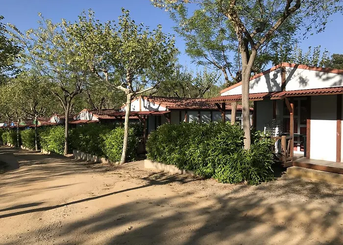 Campsite Camping D'aro Platja d'Aro